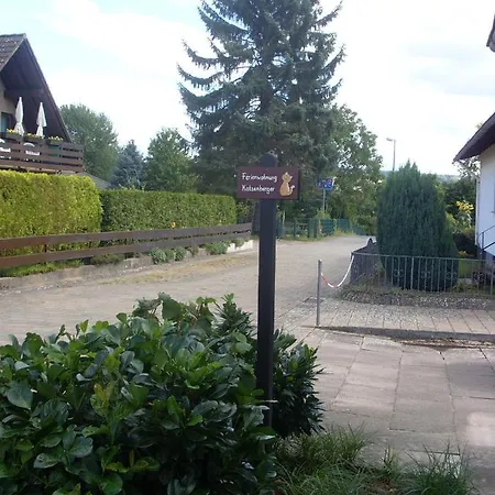 Katzenberger بيفرونغن